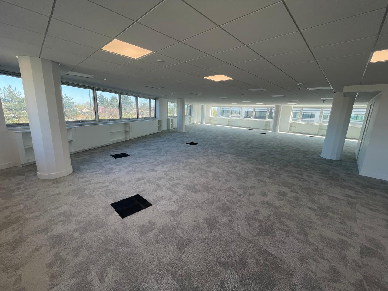 Bureau Blagnac 8665m² Location bureau Blagnac Haute-Garonne OLBUR2118051 20